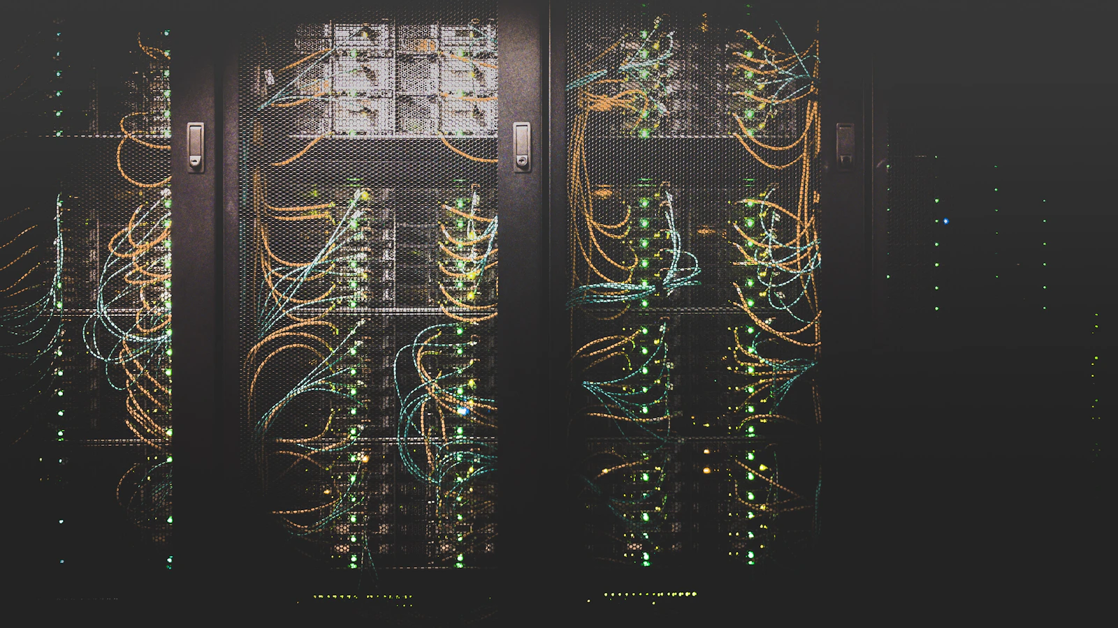 Network cables connected to a server rack