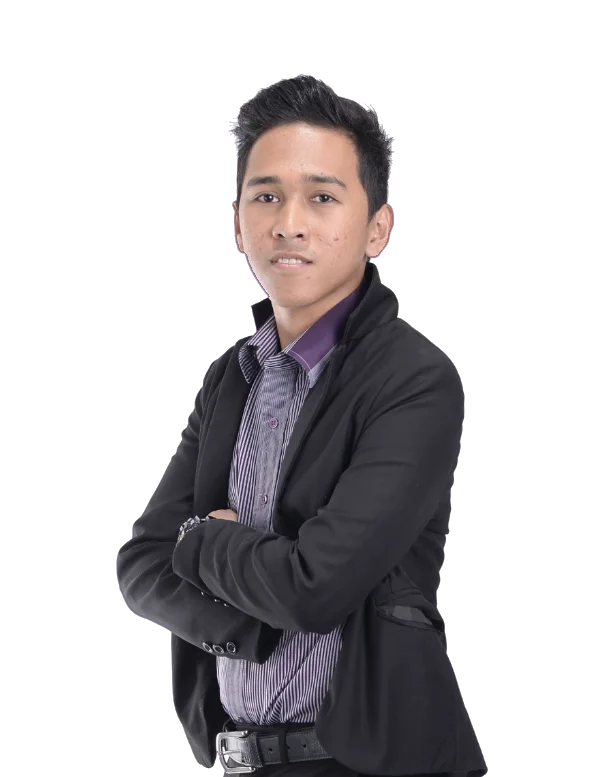 Vincent Earl Panoncial, WordPress developer